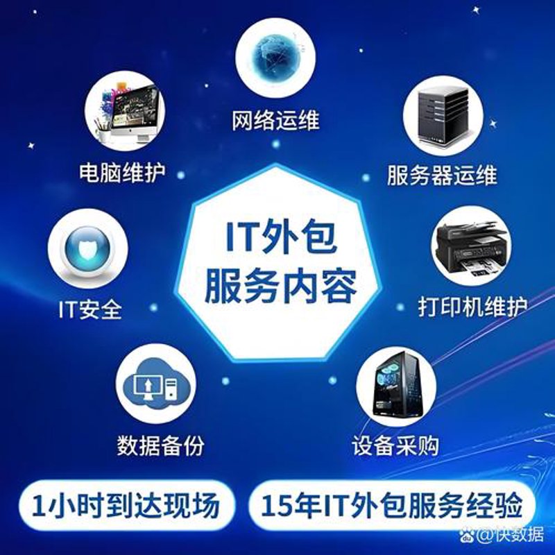 上海信息技术服务：信息化的加速器